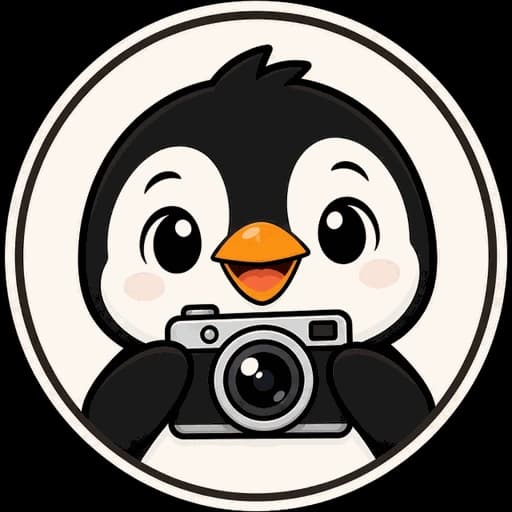 PicX Studio