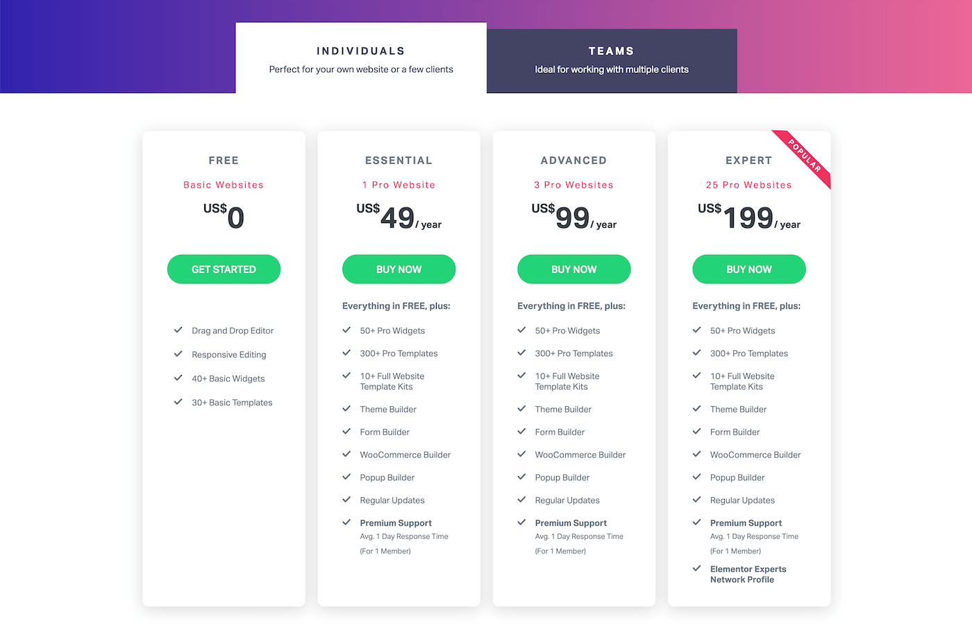 Elementor pricing for individuals