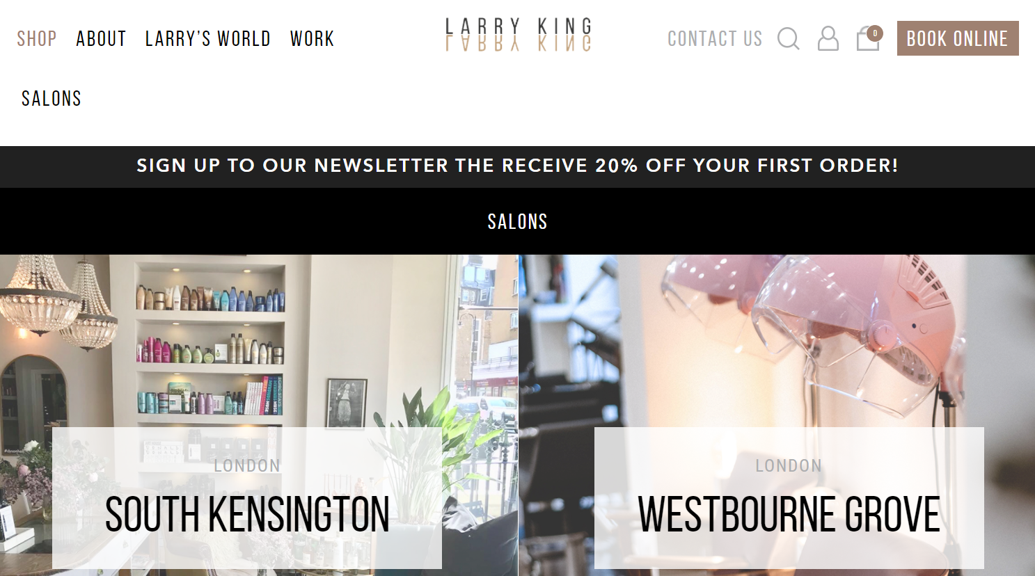 Larry King Hair website