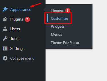 WordPress Customize settings