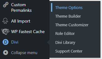 divi theme options shortcut in wordpress