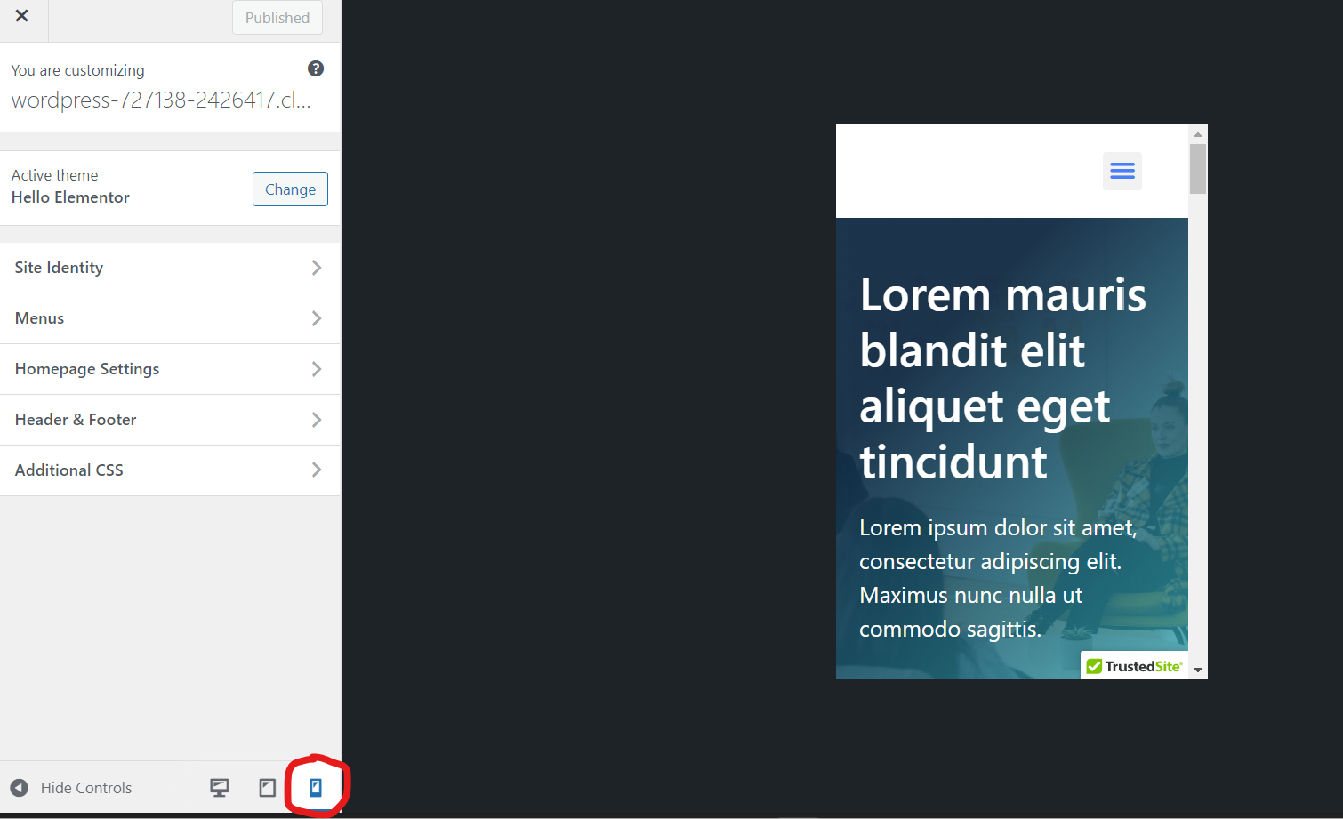 Mobile Preview in the WordPress Customizer